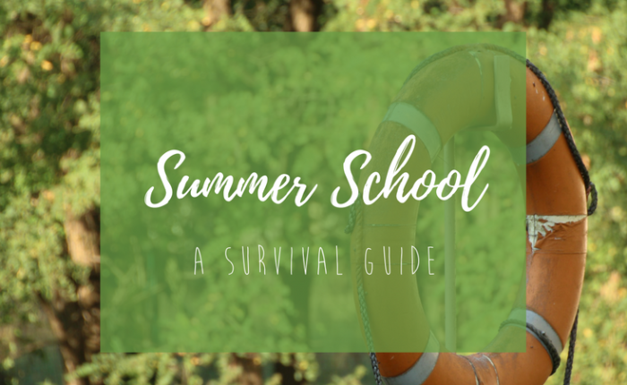 Summer School: A Survival Guide